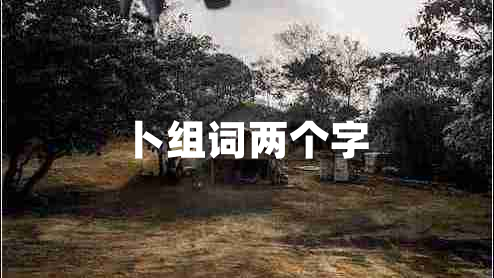 卜組詞兩個(gè)字