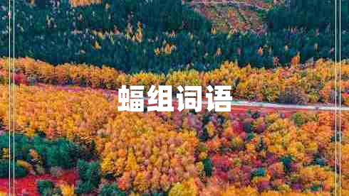 蝠組詞語