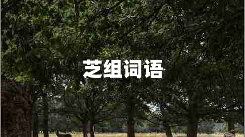 芝組詞語