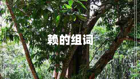 賴的組詞
