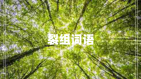裂組詞語