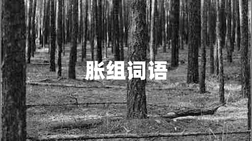 脹組詞語