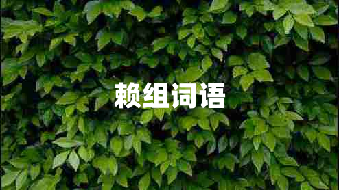 賴組詞語