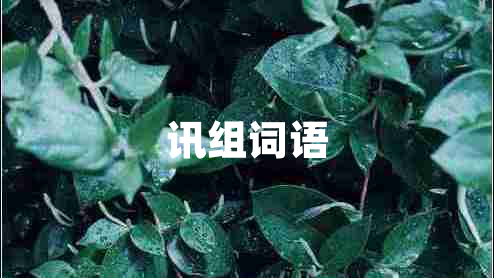 訊組詞語