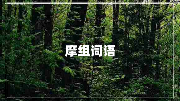 摩組詞語