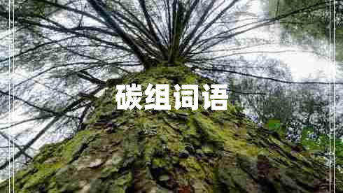 碳組詞語