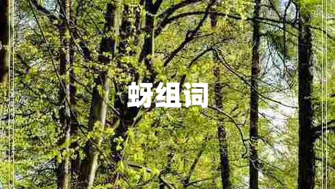 蚜組詞