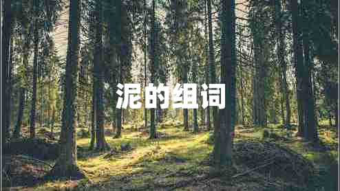 泥的組詞
