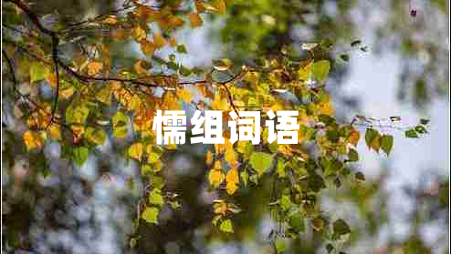 懦組詞語