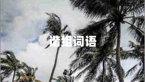 諧組詞語