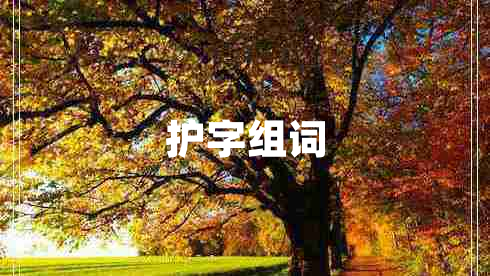 護字組詞