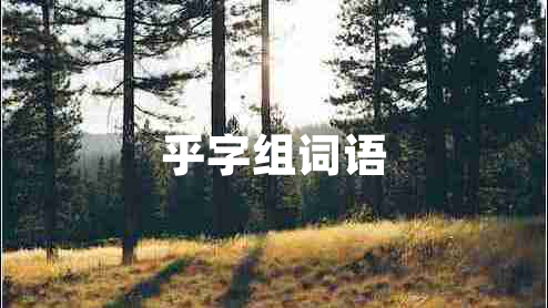 乎字組詞語