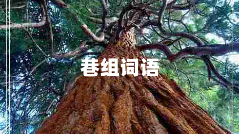 巷組詞語