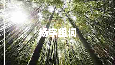 揚(yáng)字組詞
