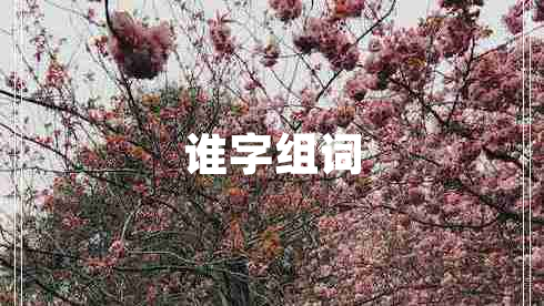 誰字組詞