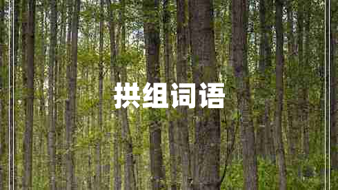 拱組詞語