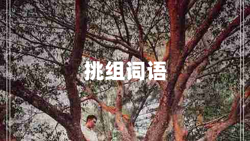 挑組詞語