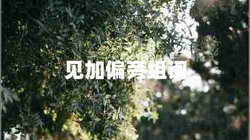 見加偏旁組詞