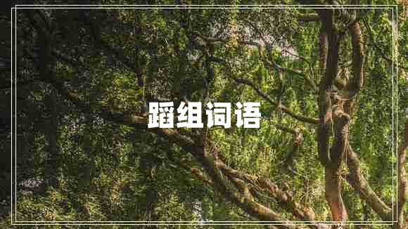 蹈組詞語