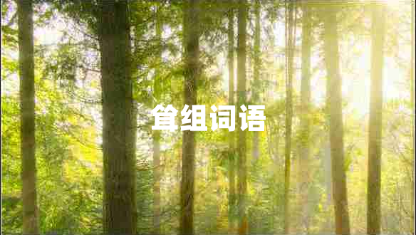 聳組詞語