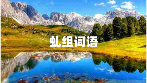 虬組詞語