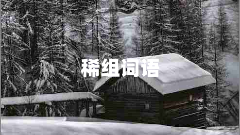 稀組詞語