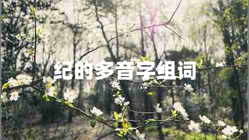 紀(jì)的多音字組詞
