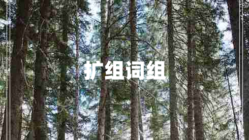 擴(kuò)組詞組