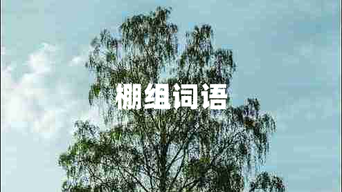 棚組詞語