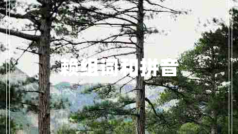 賴組詞和拼音