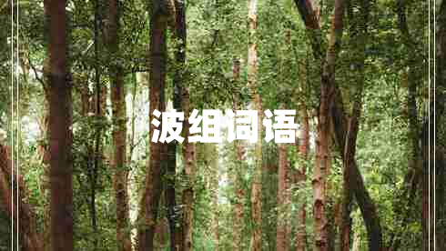 波組詞語