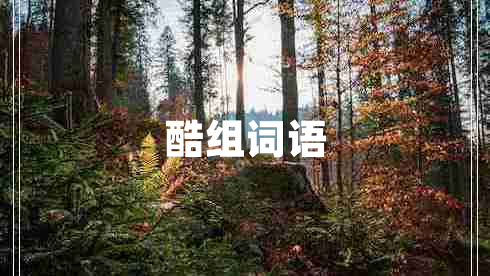 酷組詞語