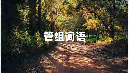 管組詞語