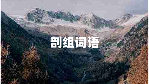 剖組詞語