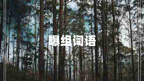 曝組詞語