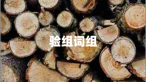 驗(yàn)組詞組