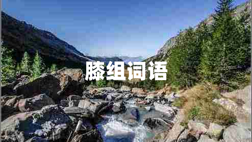 膝組詞語