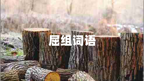 屈組詞語