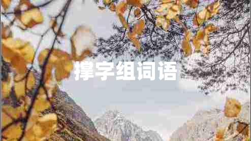 撐字組詞語
