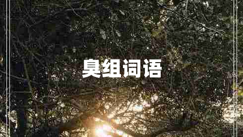 臭組詞語