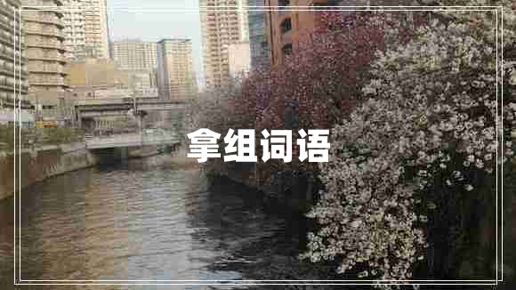 拿組詞語
