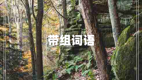 帶組詞語