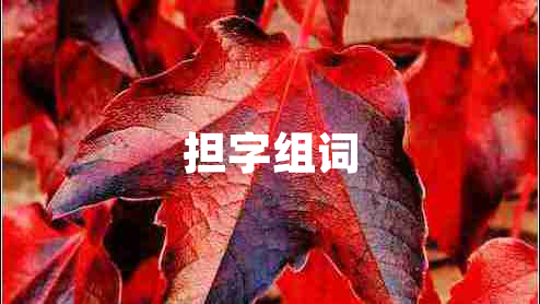 擔(dān)字組詞
