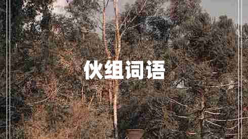 伙組詞語