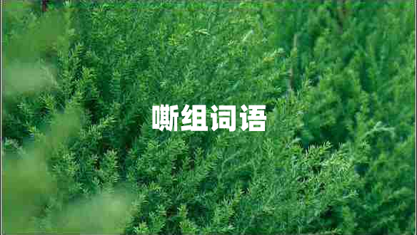 嘶組詞語