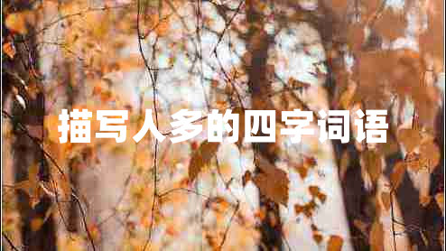 描寫人多的四字詞語(yǔ)