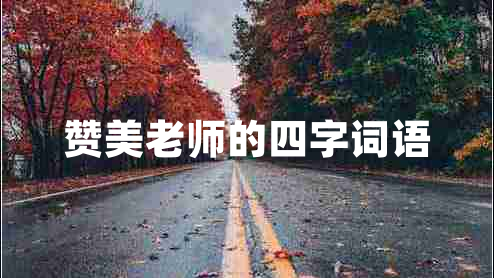 贊美老師的四字詞語