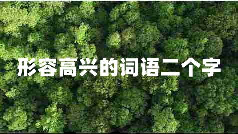 形容高興的詞語二個(gè)字
