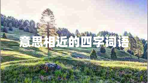 意思相近的四字詞語