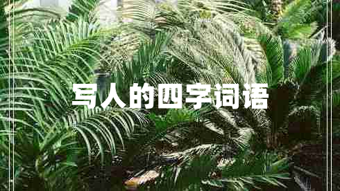 寫人的四字詞語